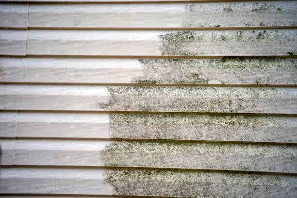 How To Choose The Right Materials for Your Siding Installation in 'Lexington Park, MD